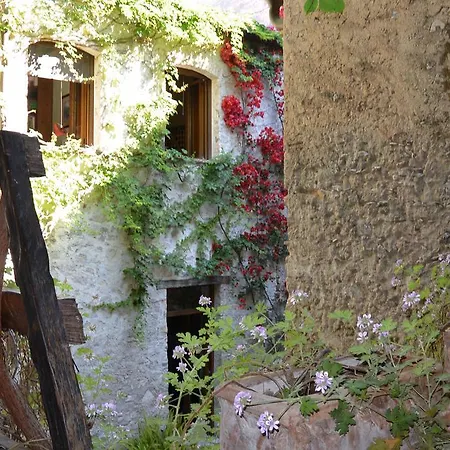 Domus Laeta Giungano