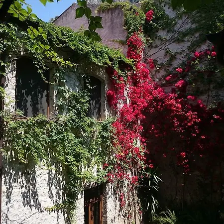 Domus Laeta Villa *