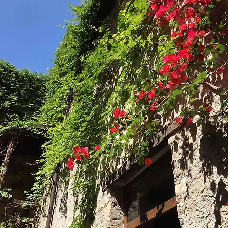 Domus Laeta * Giungano