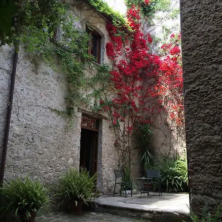 Domus Laeta
