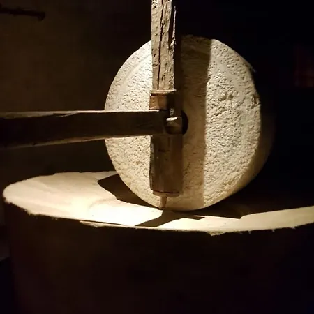 Domus Laeta Giungano